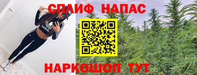прущие грибы Будённовск