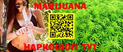 прущие грибы Будённовск