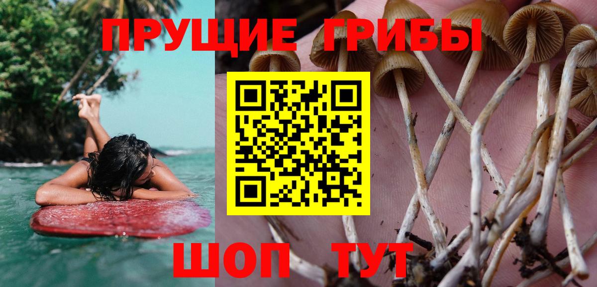 Галлюциногенные грибы мухоморы  Вход с VPN  Мегион 